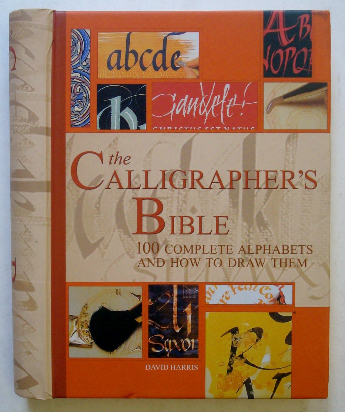 The Calligrapher's Bible: 100 Complete Alphabets and How to Draw Them book