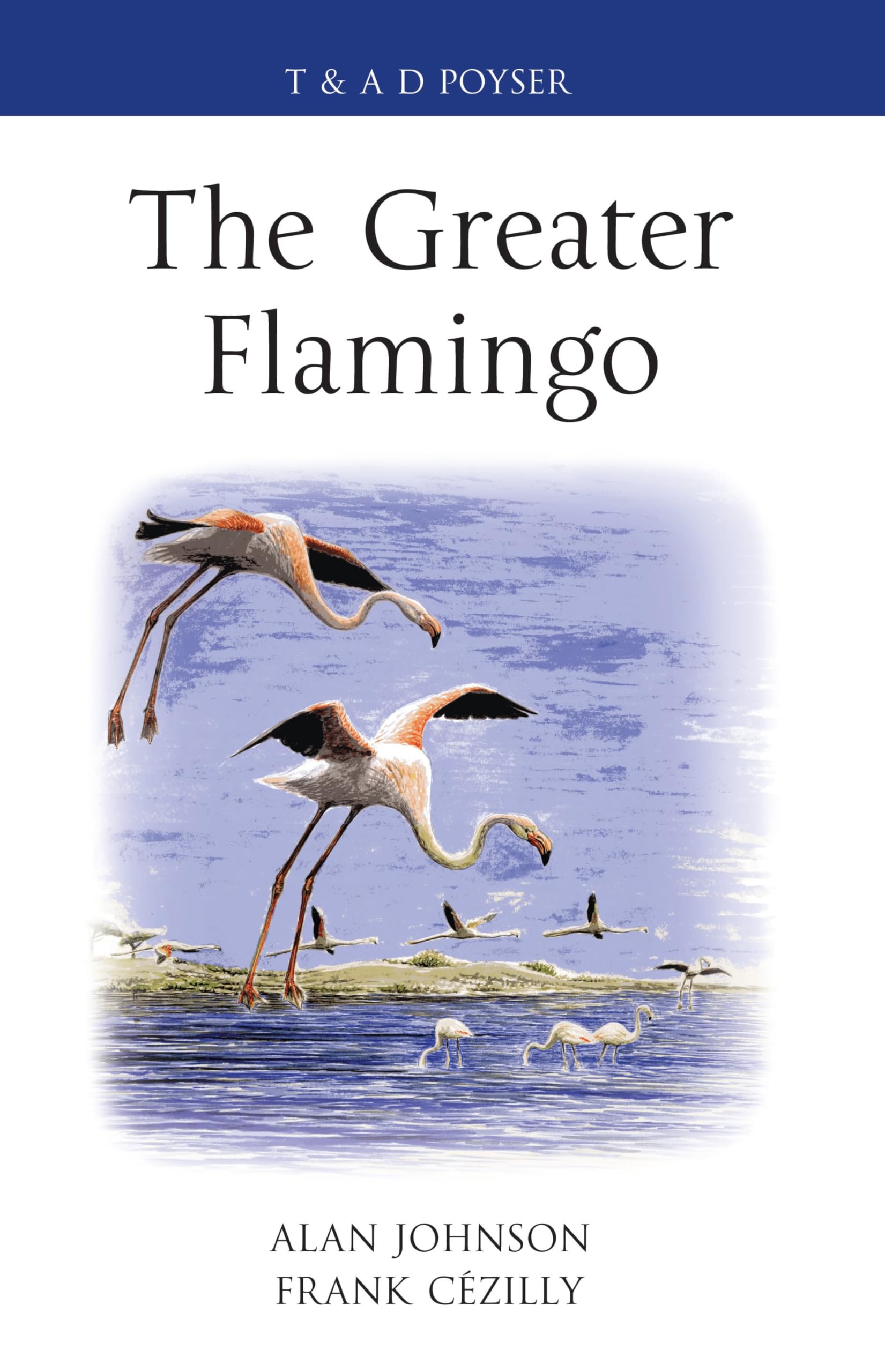 The Greater Flamingo (Poyser Monographs) Mathematics