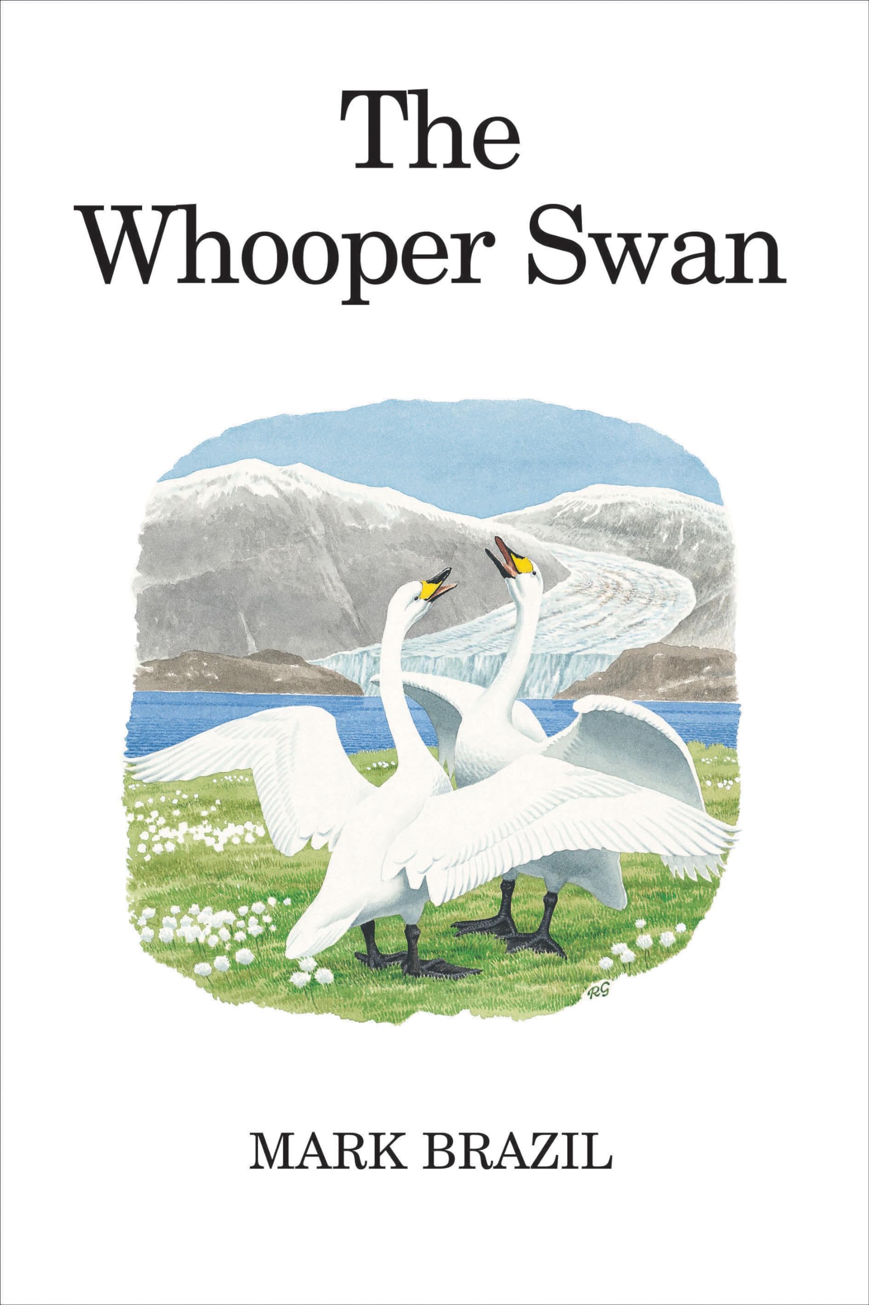 The Whooper Swan (Poyser Monographs) Mathematics