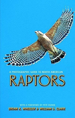 A Photographic Guide to North American Raptors Mathematics