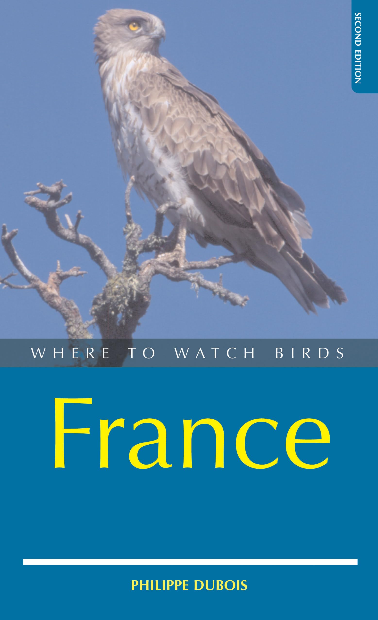 Where to Watch Birds in France Mathematics