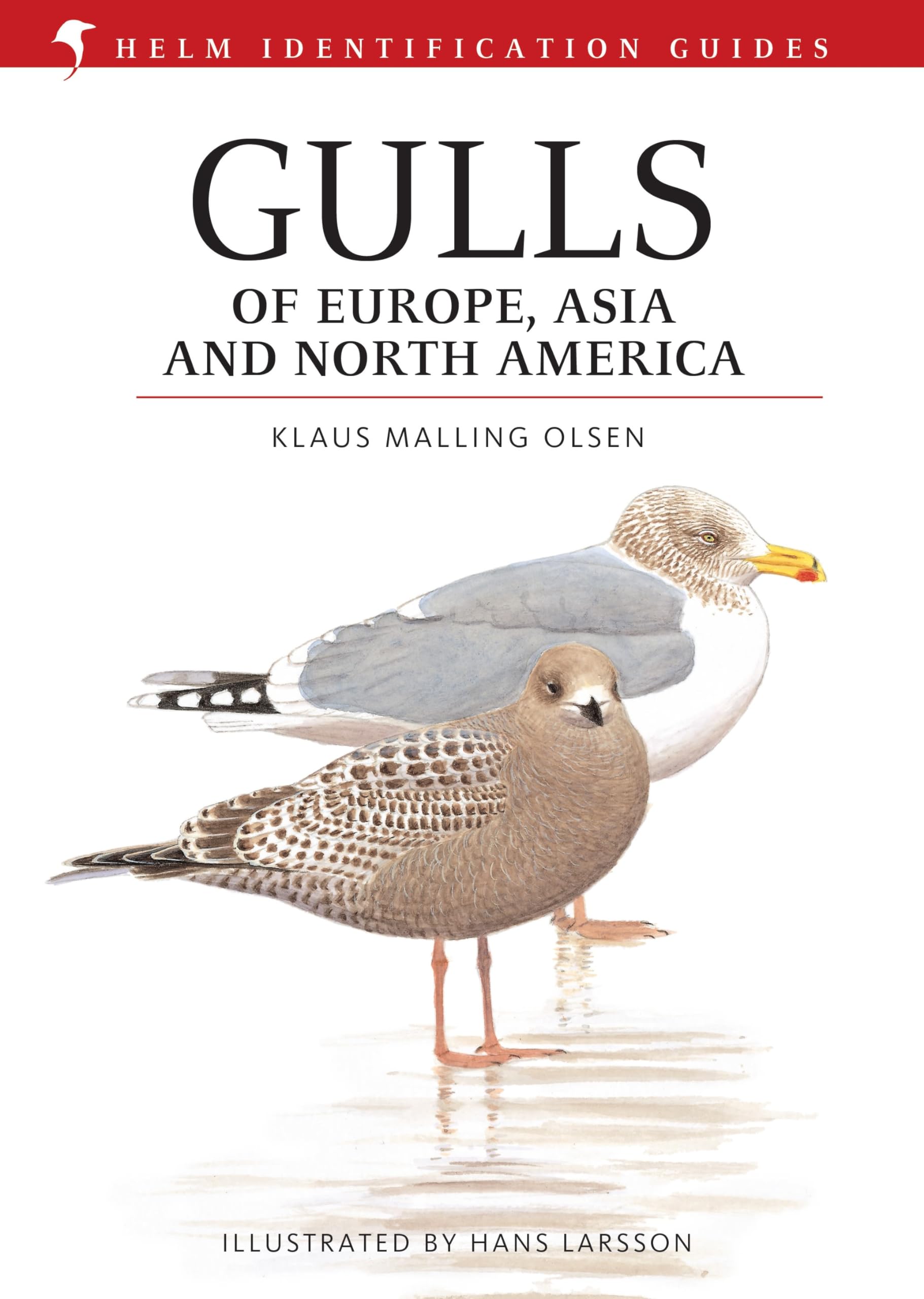 Gulls of Europe, Asia and North America (Helm Identification Guides) Mathematics