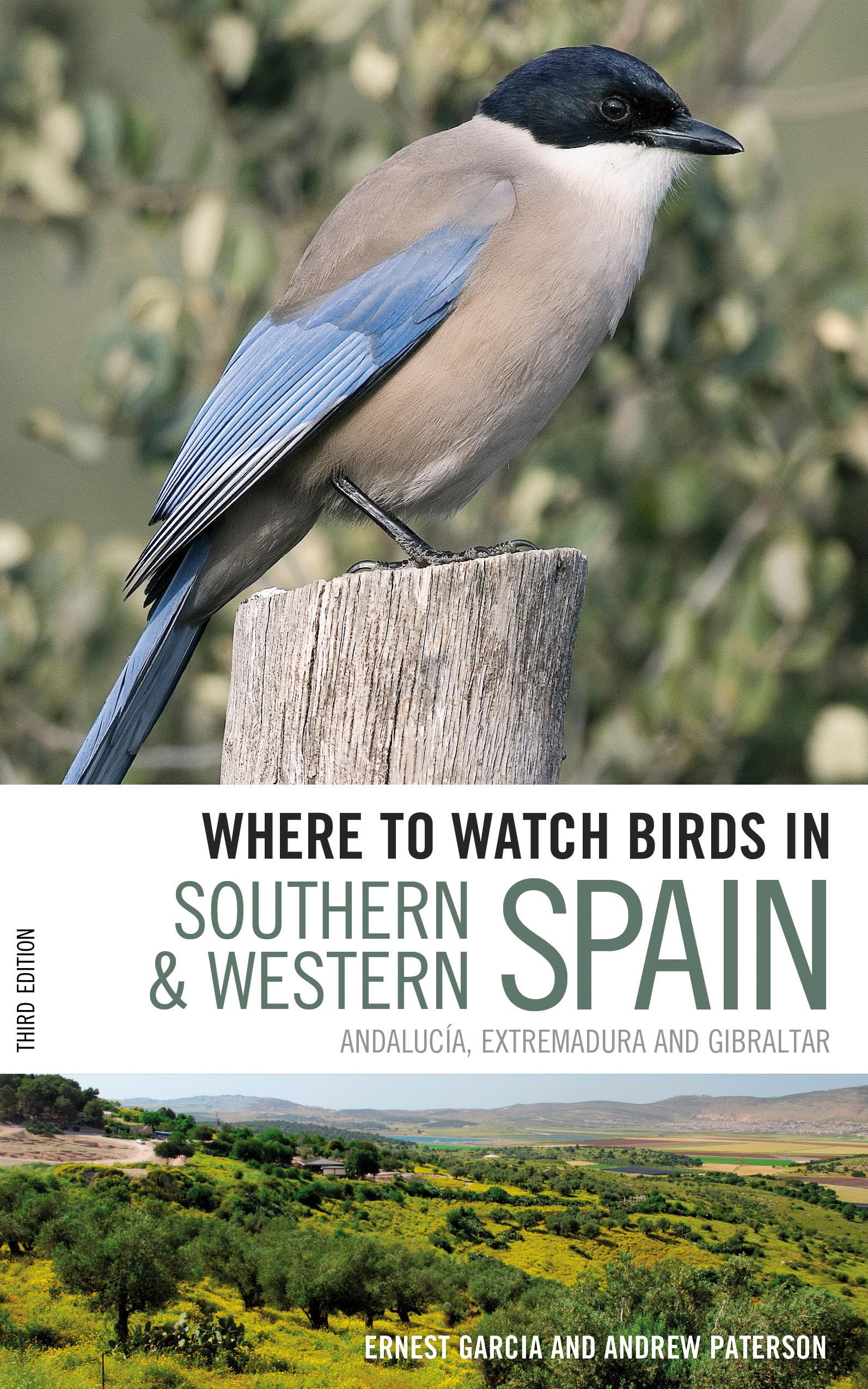 Where to Watch Birds in Southern and Western Spain: Andalucia, Extremadura and Gibraltar Mathematics