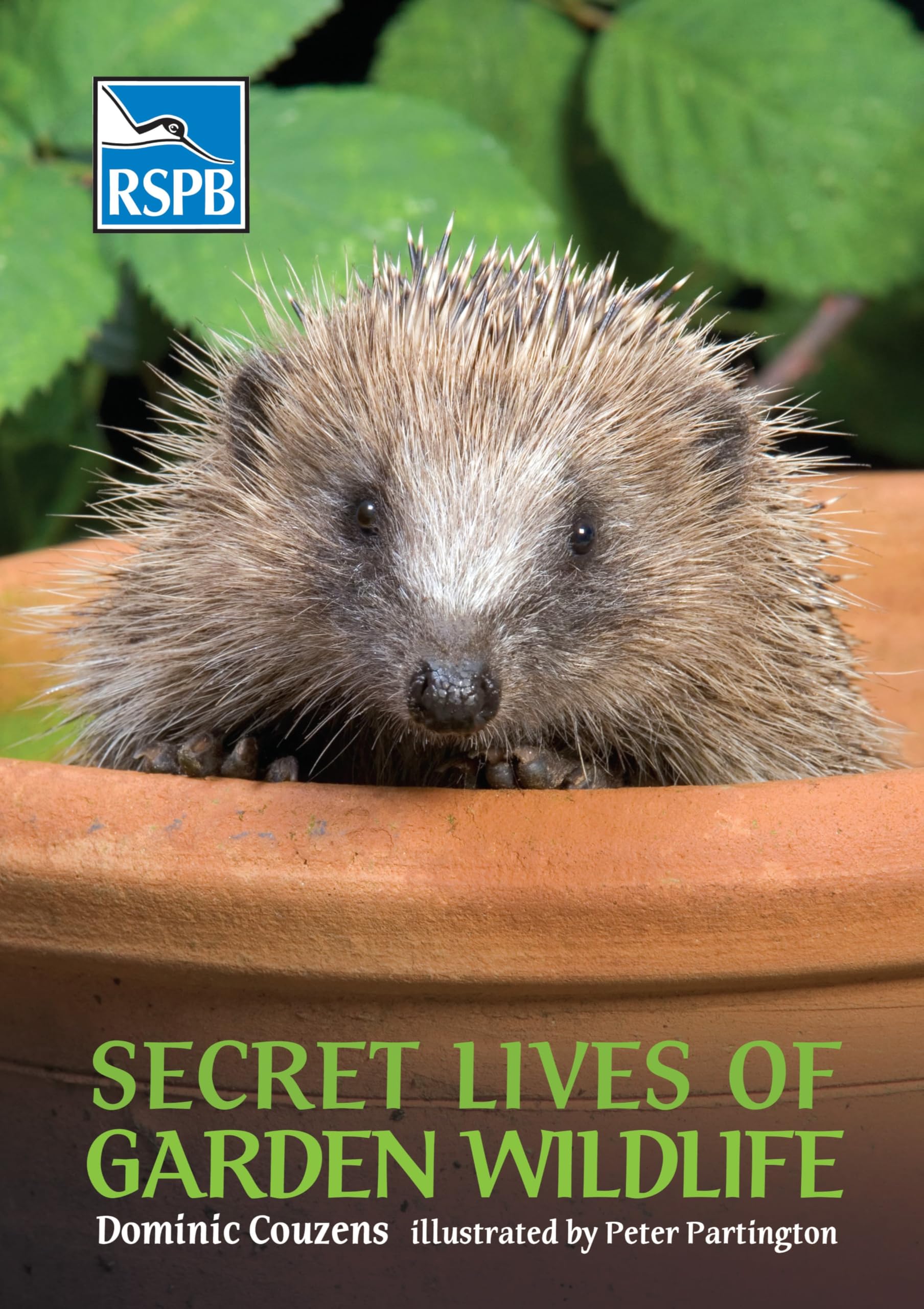 Secret Lives of Garden Wildlife (RSPB) Mathematics