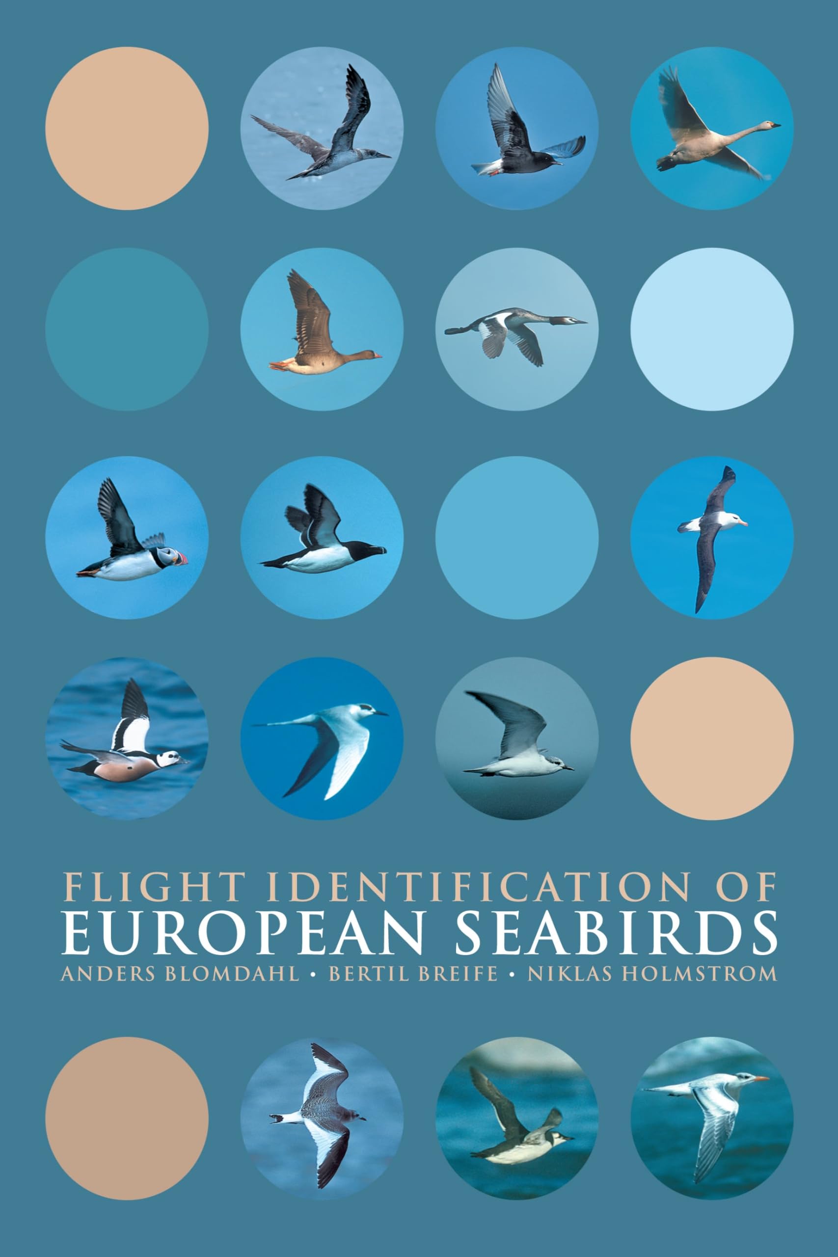 Flight Identification of European Seabirds (Helm Identification Guides) Mathematics