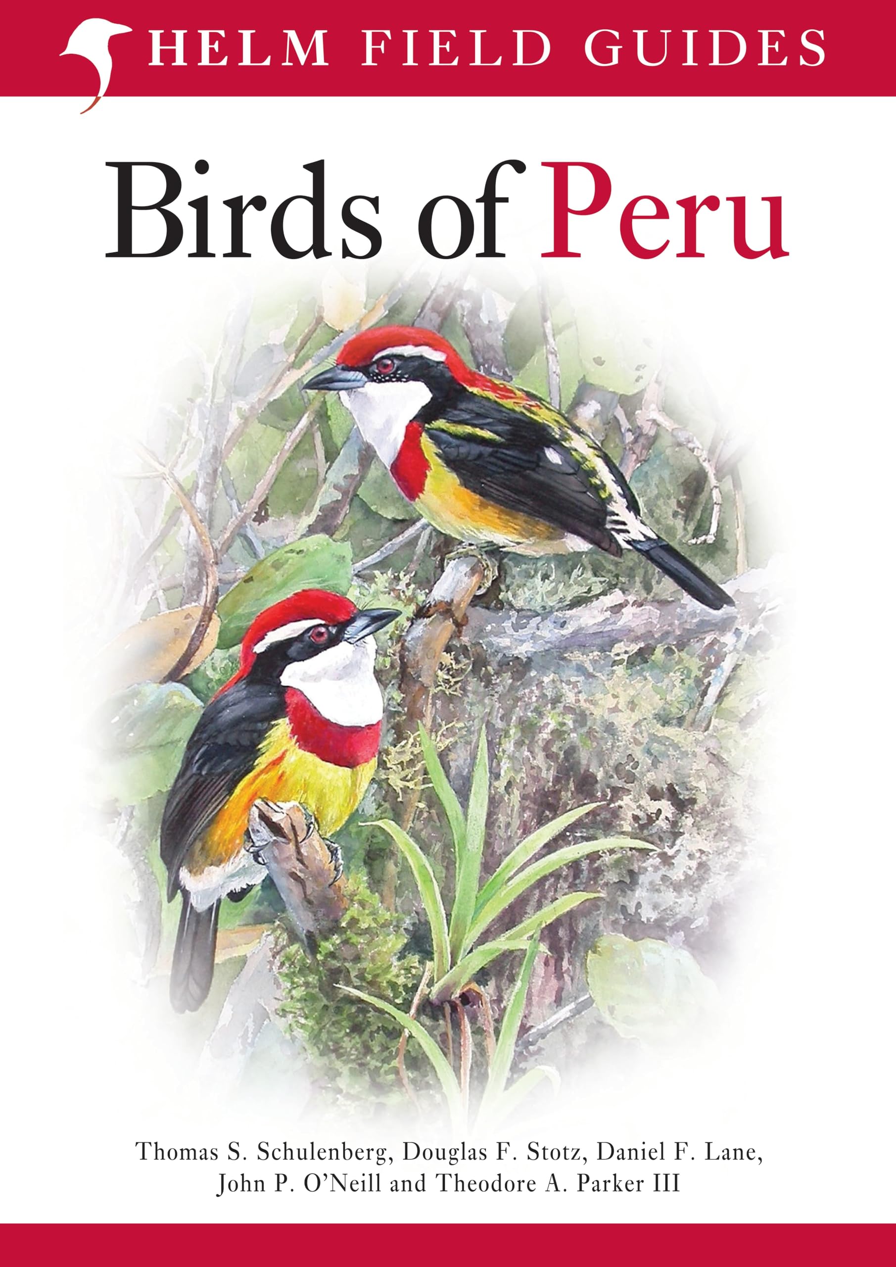 Field Guide to Birds of Peru (Helm Field Guides) Leisure, Home & Garden