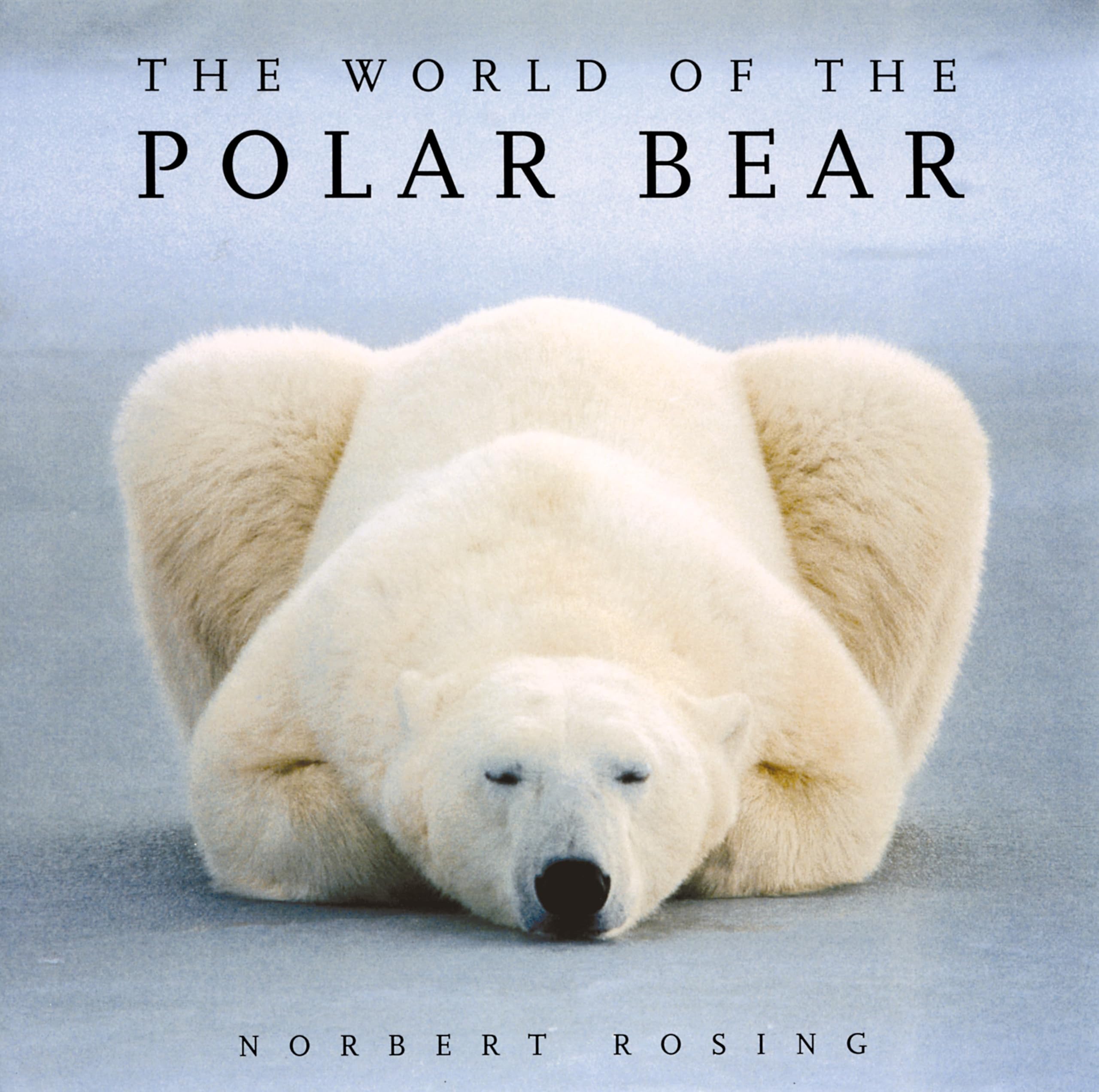 The World of the Polar Bear Mathematics