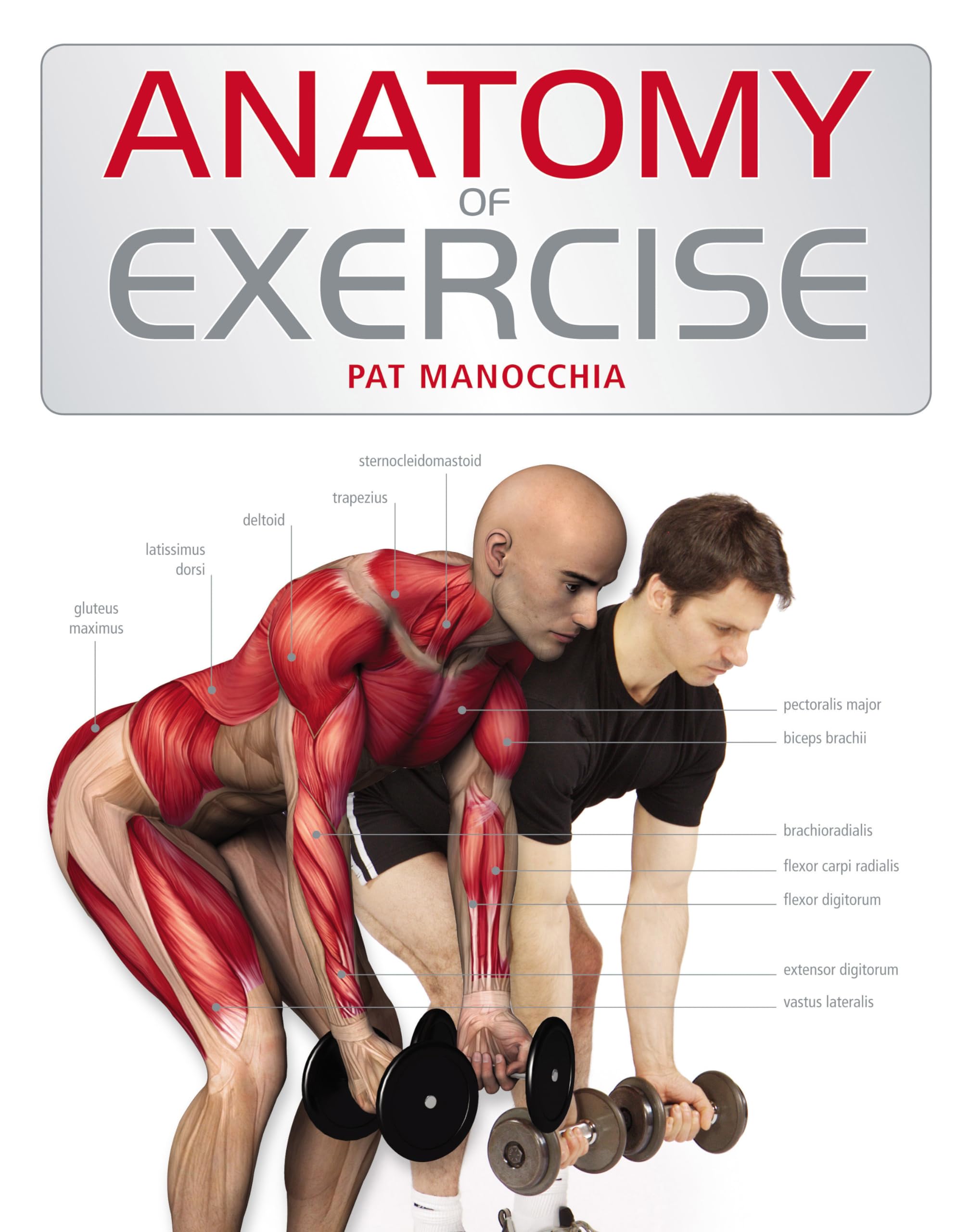 Anatomy of Exercise book