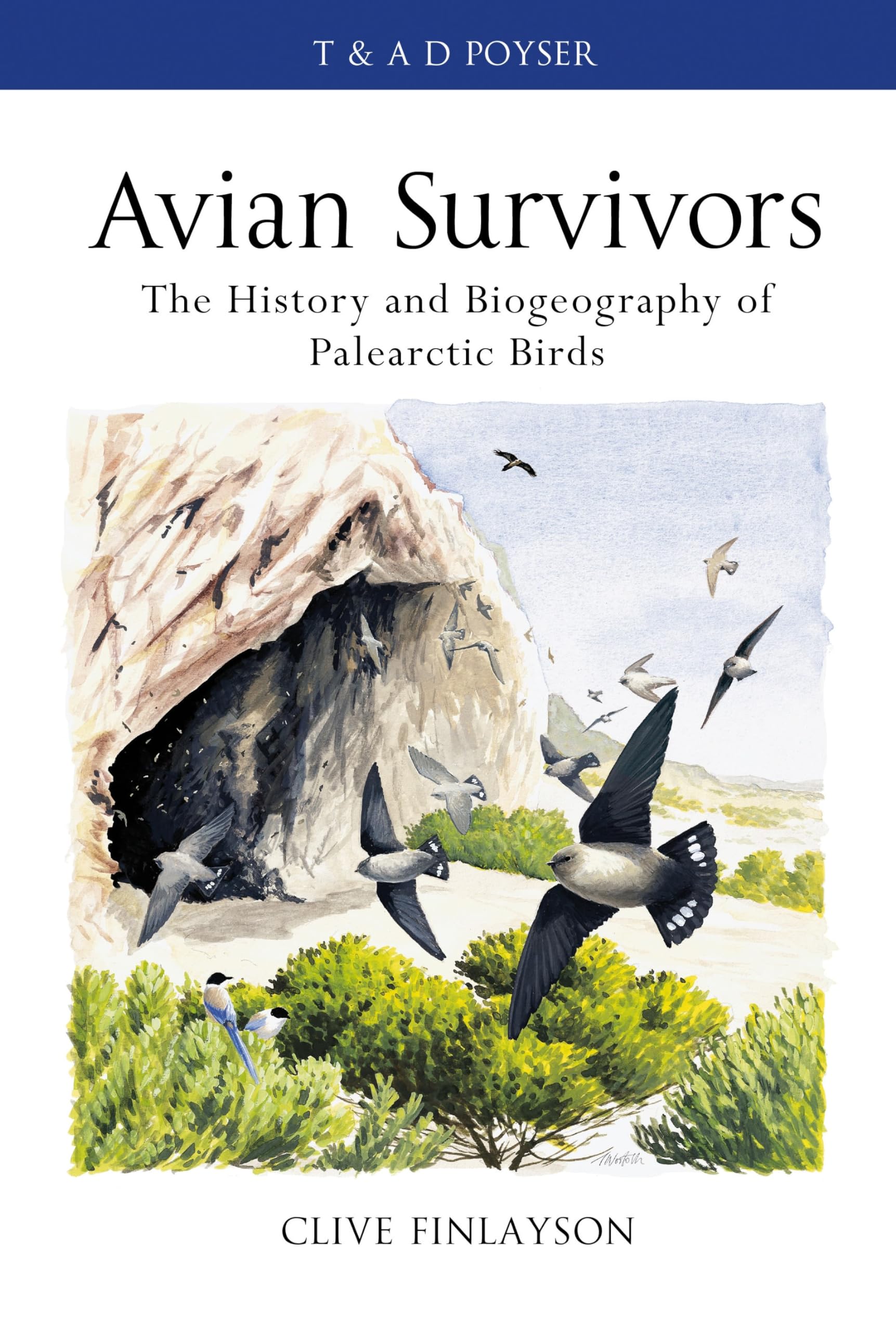 Avian survivors: The History and Biogeography of Palearctic Birds (Poyser Monographs) Mathematics