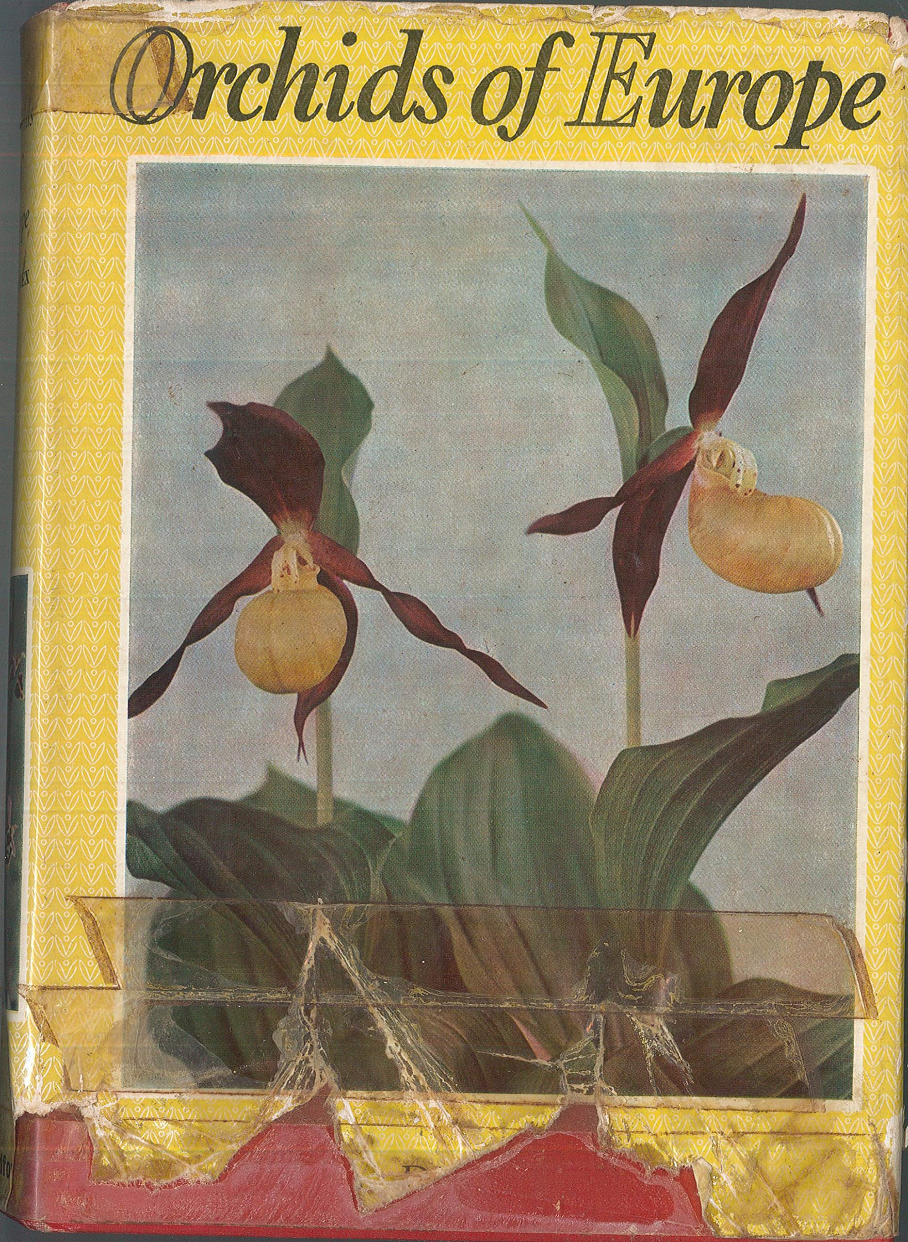Product Image: Orchids of Europe