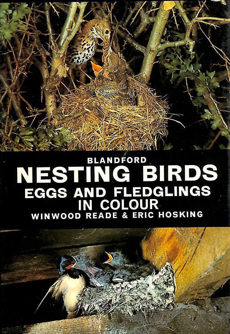 Nesting Birds, Eggs and Fledglings (Colour S.) Mathematics