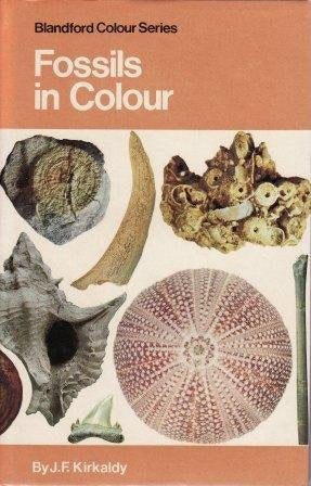 Fossils in Colour (Colour S.) Business & Technology