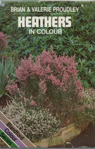 Heathers in Colour (Colour S.) Garden & Plants