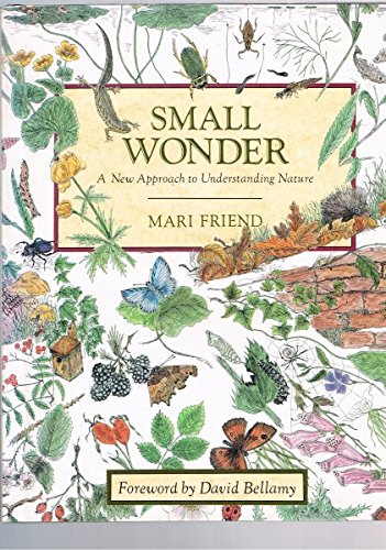 Small Wonder: New Approach to Understanding Nature Mathematics