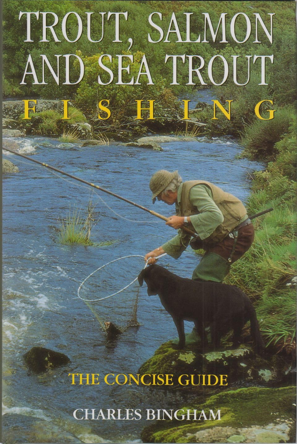 Trout, Salmon and Sea Trout Fishing Leisure & Fun