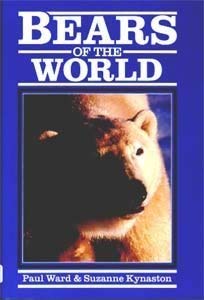 Bears of the World Mathematics