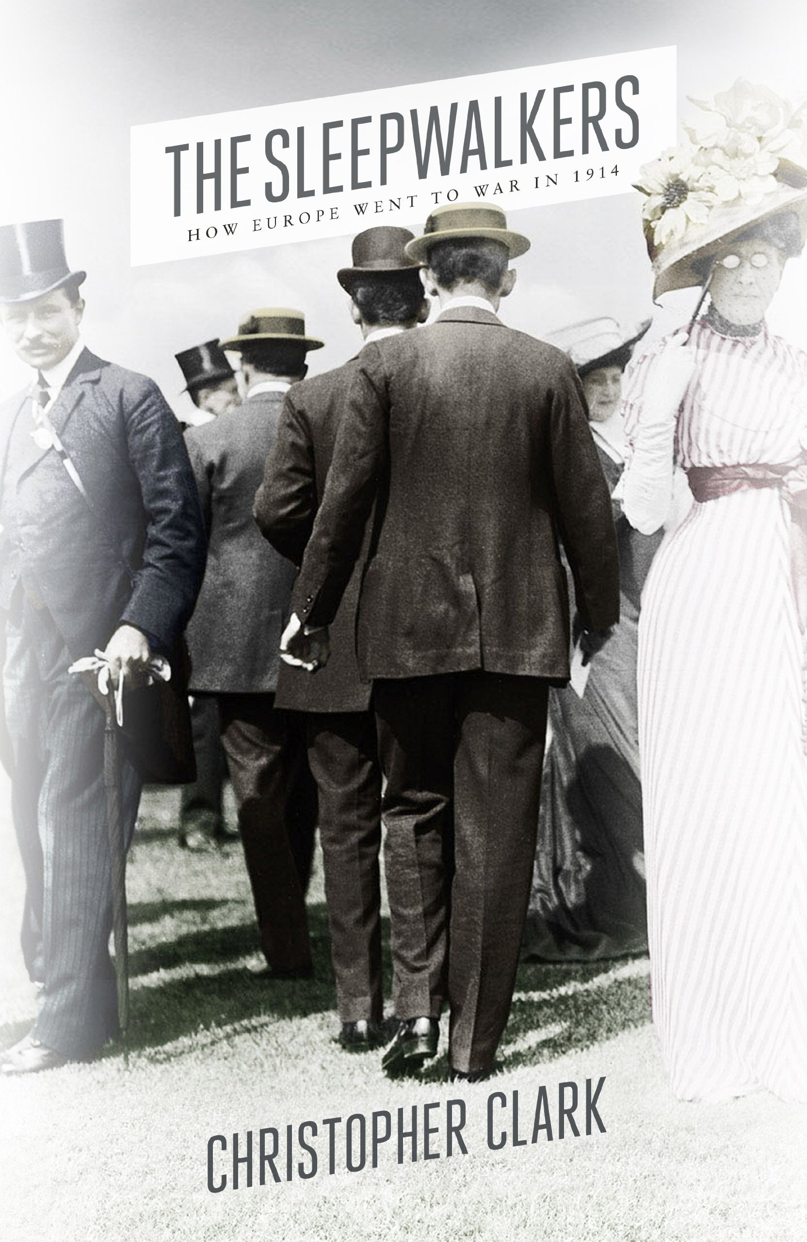 The Sleepwalkers: How Europe Went to War in 1914 Politics & History