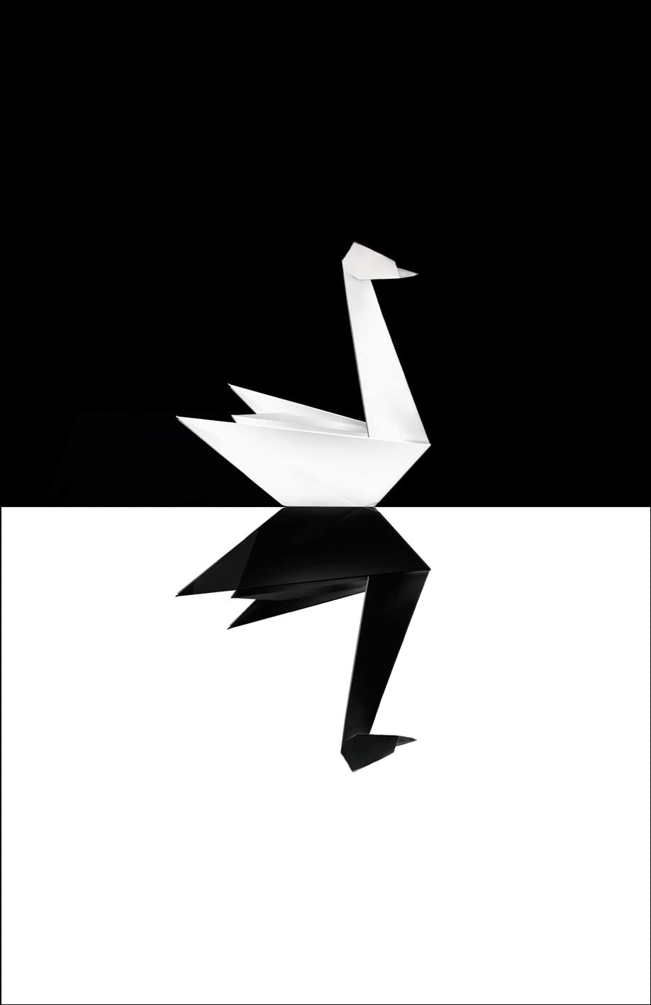 The Black Swan: The Impact of the Highly Improbable Philosophy