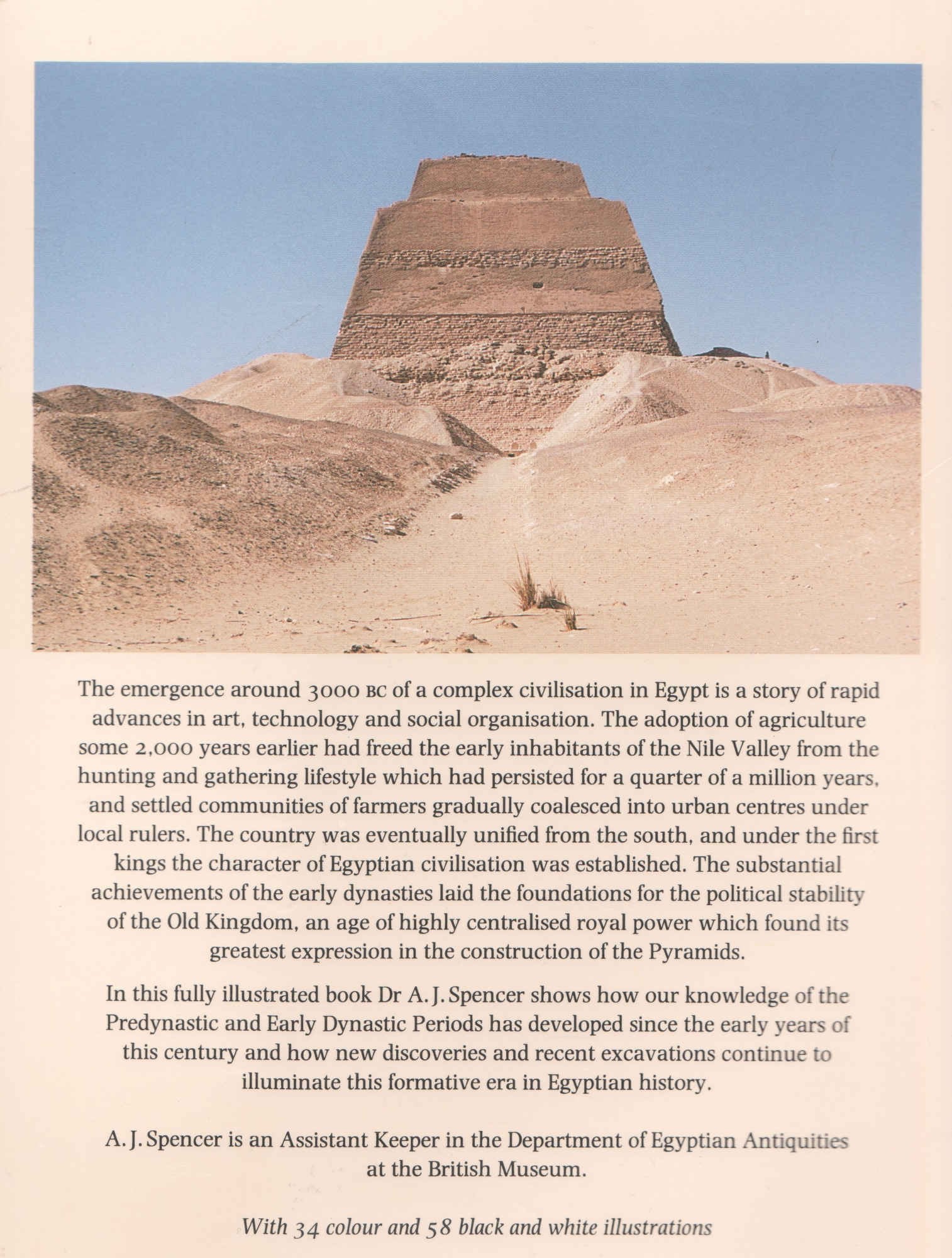 Early Egypt : The Rise Of Civilisation In The Nile Valley book