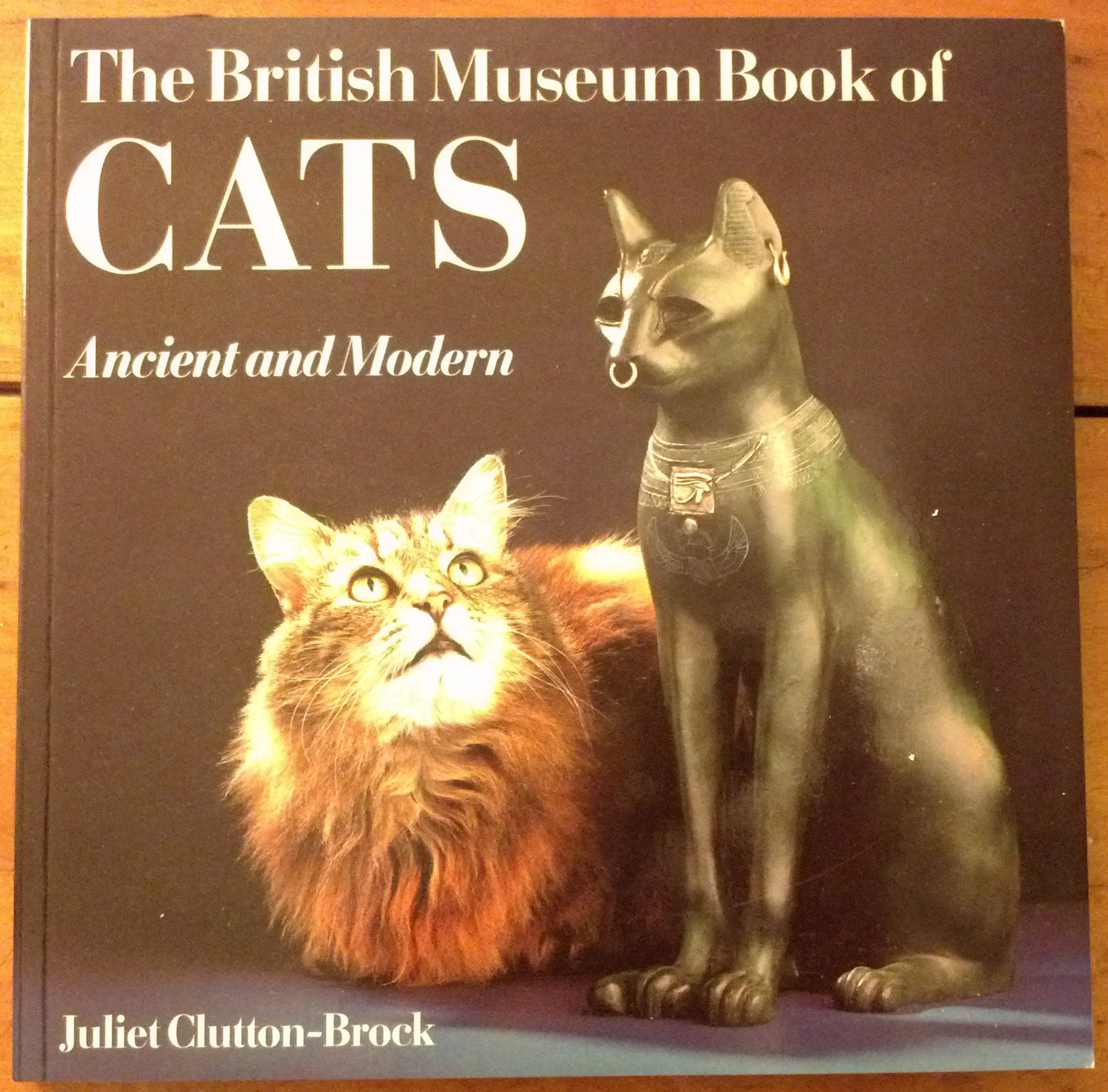 The British Museum Book of Cats Film, Art & Culture