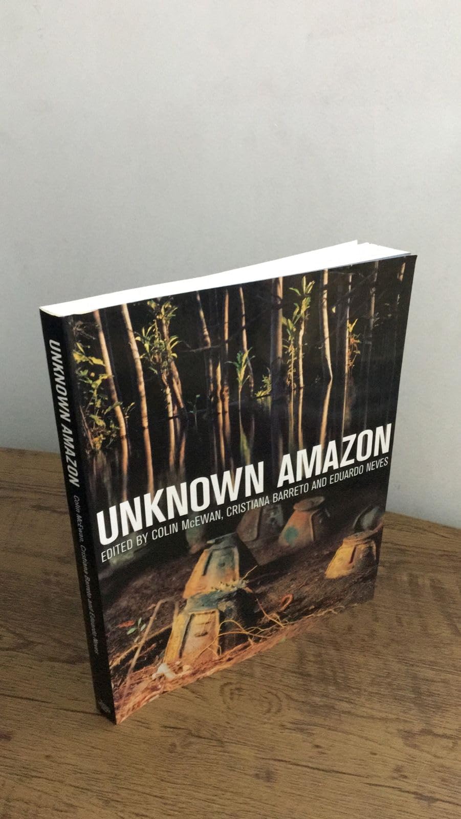 Unknown Amazon: Culture in Nature in Ancient Brazil Social Sciences