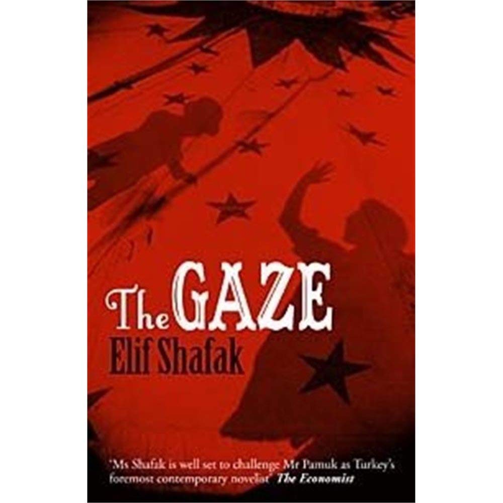 The Gaze Contemporary literature Books
