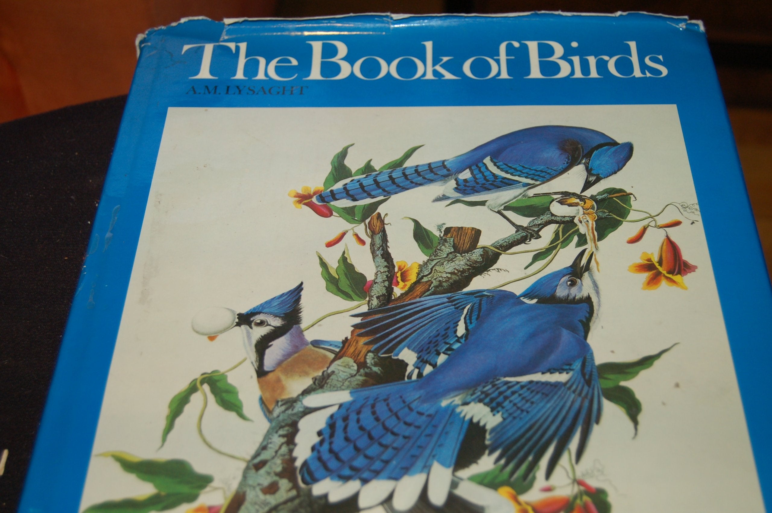 Book of Birds: Five Centuries of Bird Illustration book
