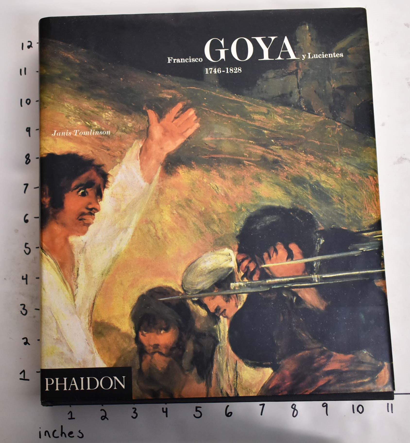 Francisco Goya Y Lucientes 1746-1828: 0000 Art & Literature