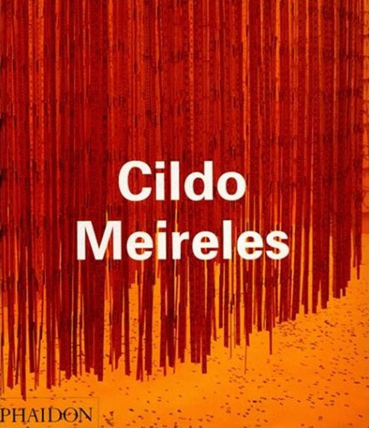 Cildo Meireles (Contemporary Artists) Film, Art & Culture