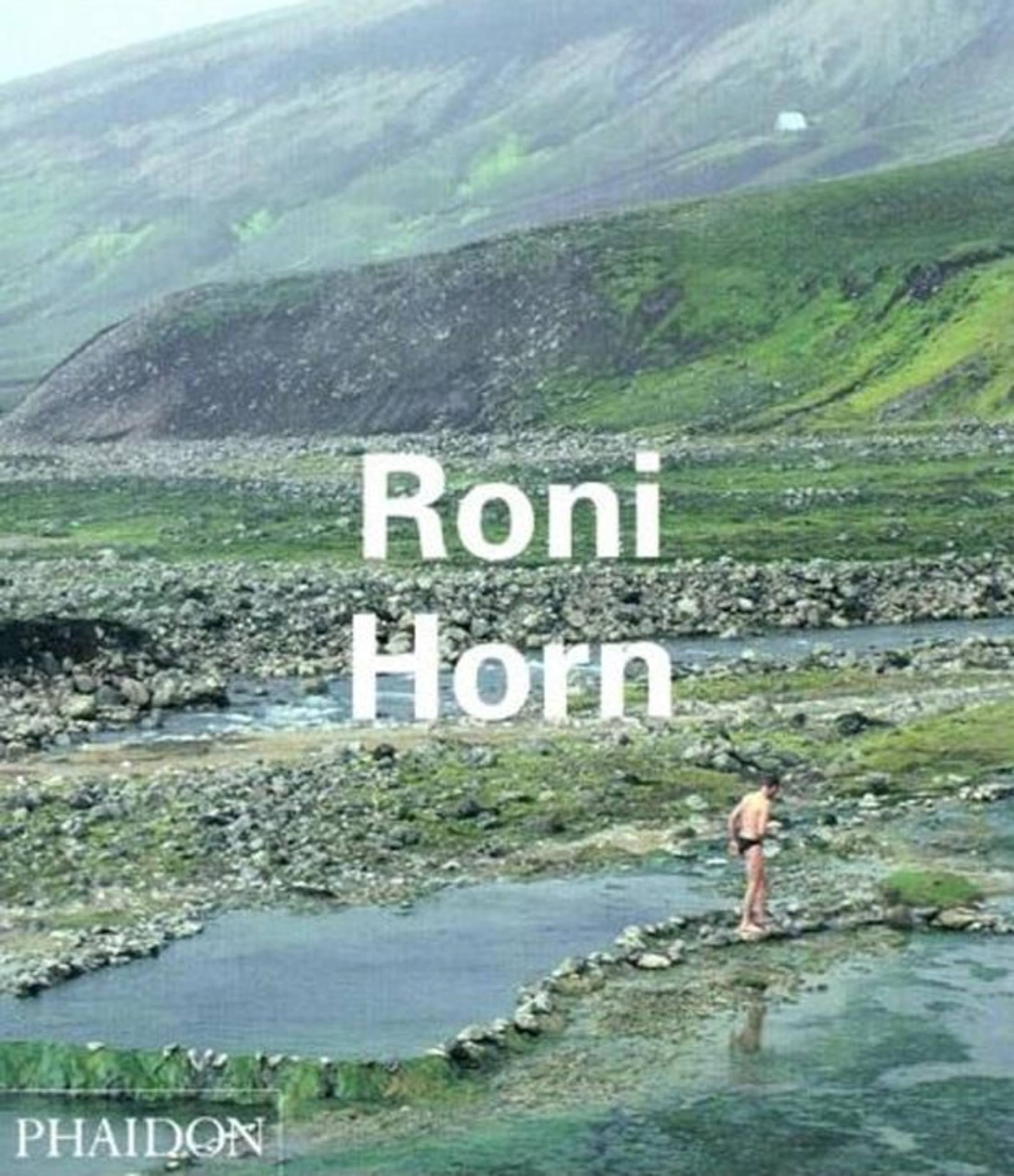 Roni Horn: 0000 (Contemporary Artists, Band 0) Photography