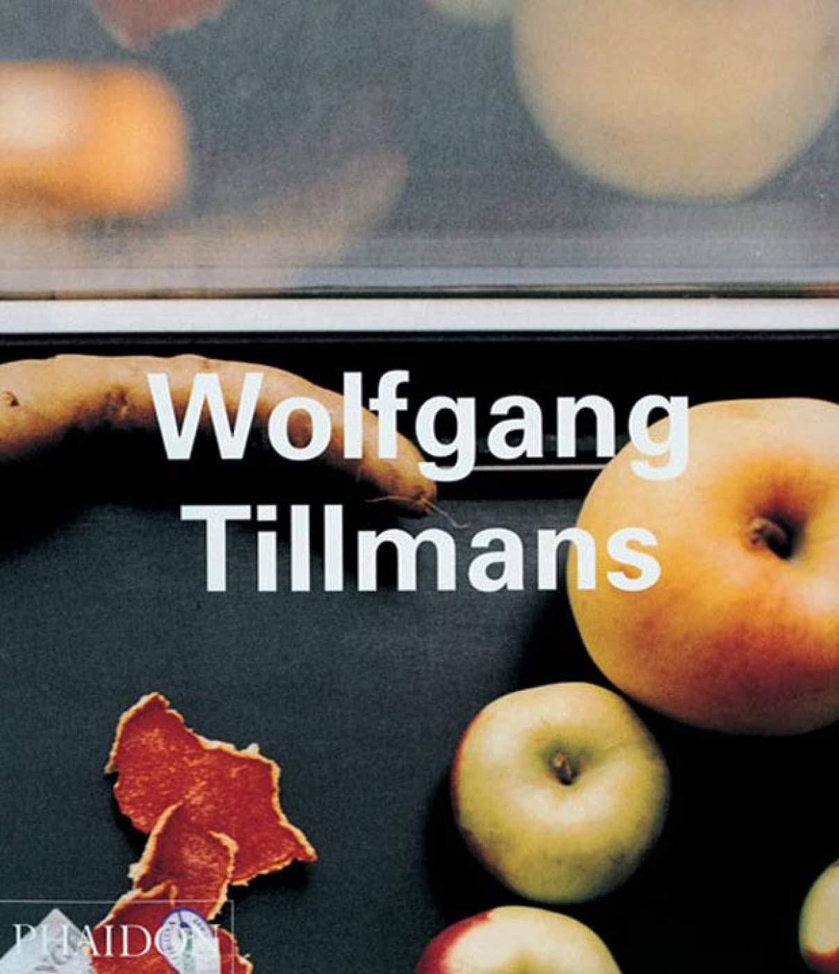 Wolfgang Tillmans (Contemporary Artists, Band 0) Art & Literature