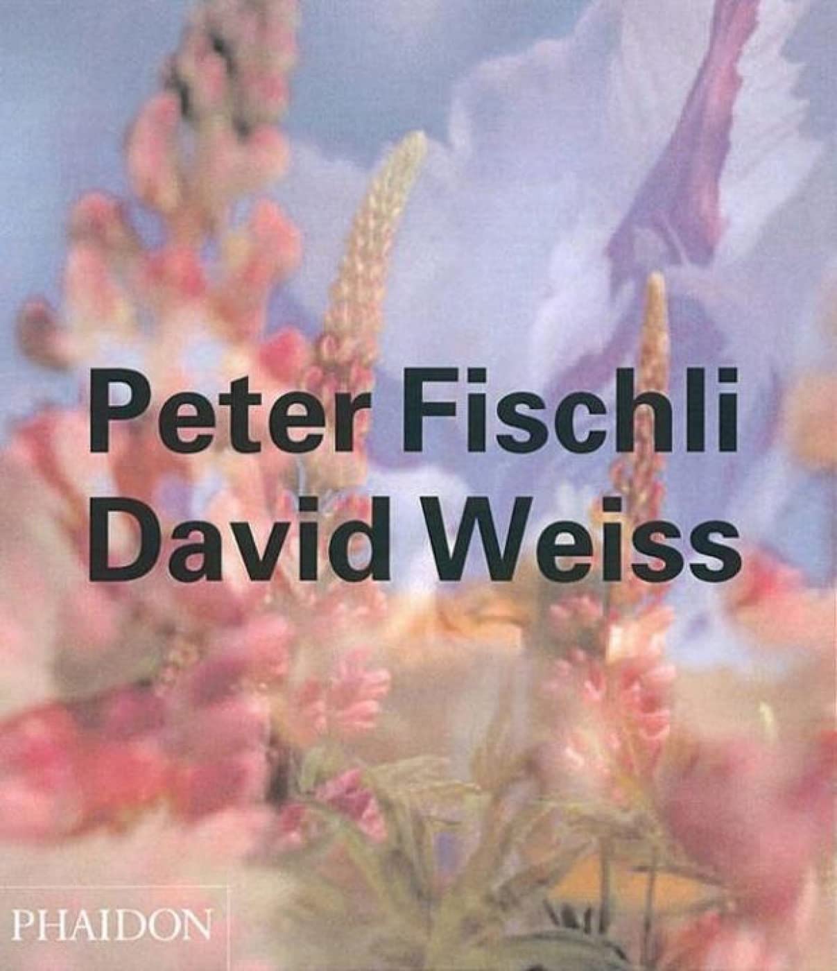 Peter Fischli & David Weiss (Phaidon Contemporary Artists Series, Band 0) Film, Art & Culture