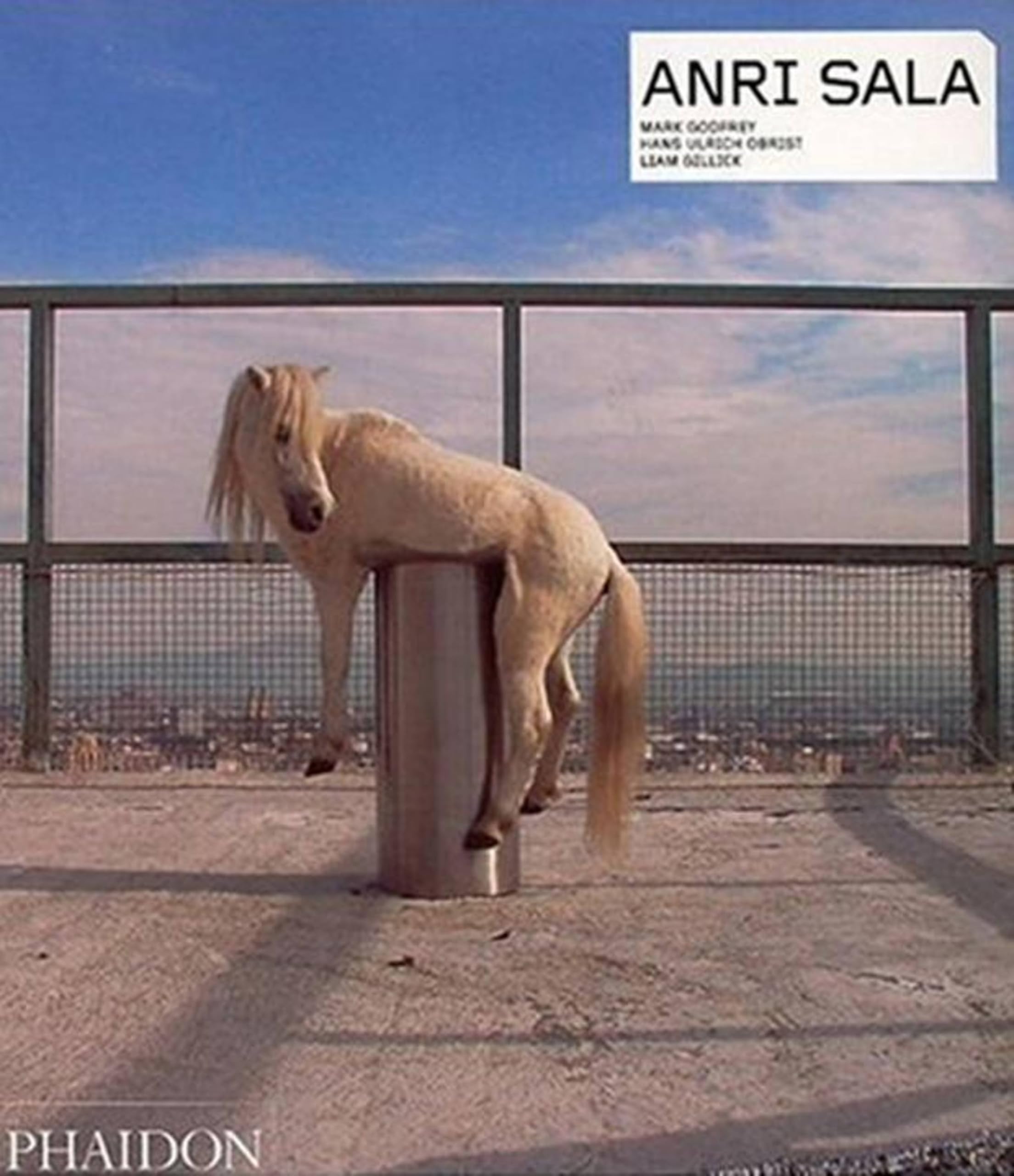 Anri Sala (Phaidon Contemporary Artists, Band 0) Film, Art & Culture