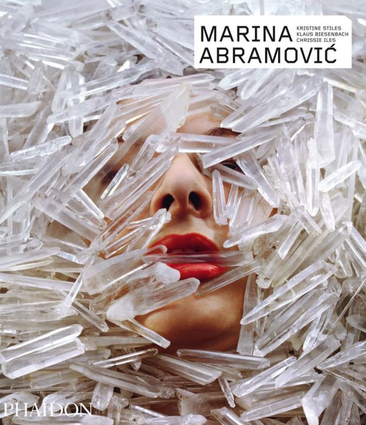 Marina Abramovic: Survey by Kristine Stiles. Interview by Klaus Biesenbach. Focus by Chrissie Iles (Phaidon Contemporary Artists Series) Film, Art & Culture