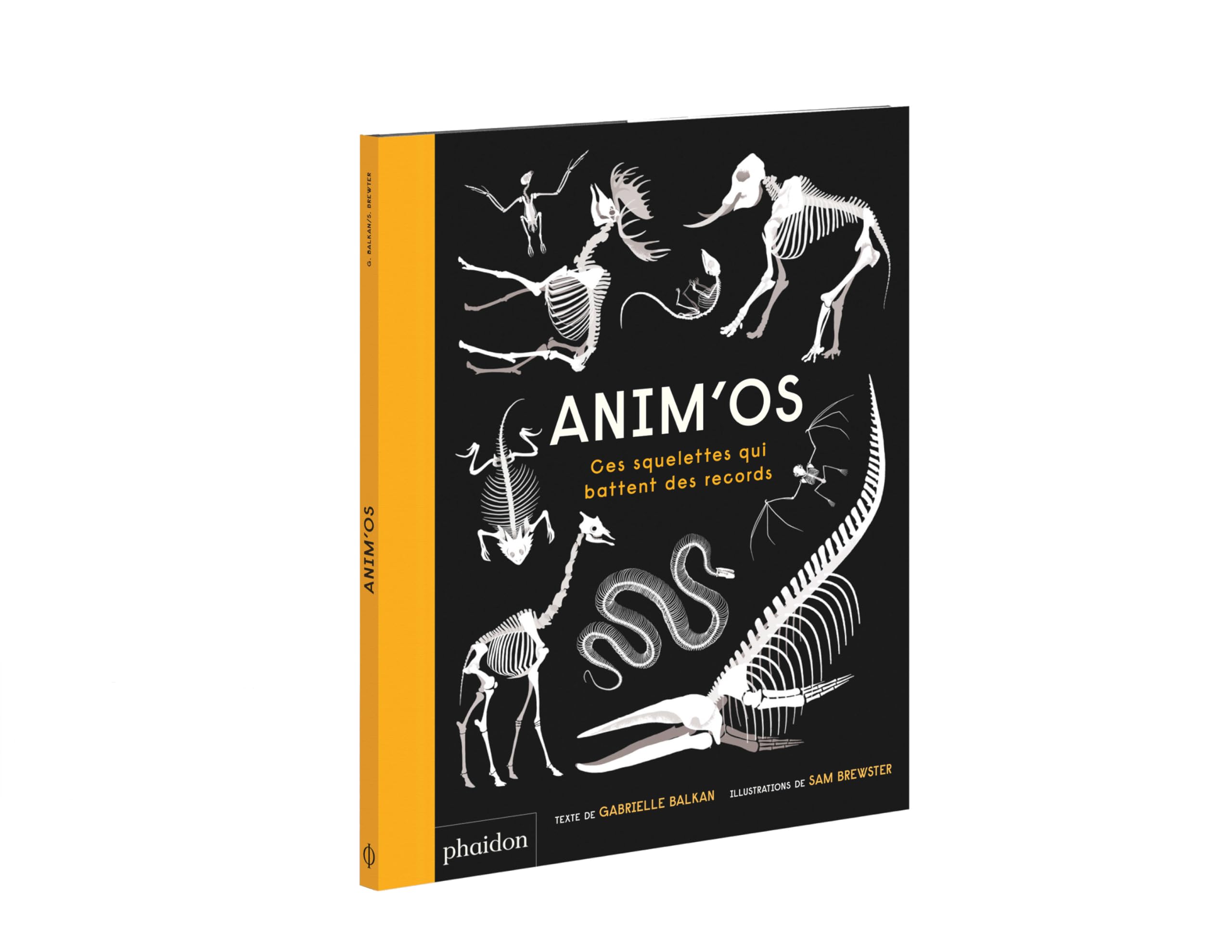 ANIM'OS: Ces squelettes qui battent des records Children's books