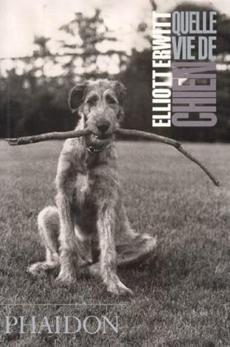 Quelle vie de chien (français) Film, Art & Culture