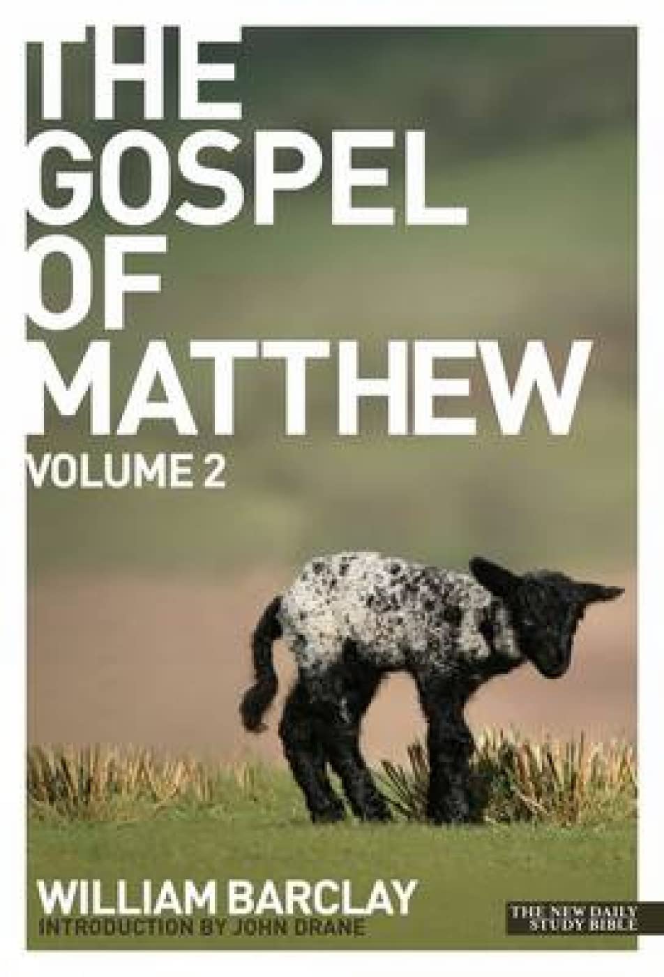 The Gospel of Matthew - volume 2 book