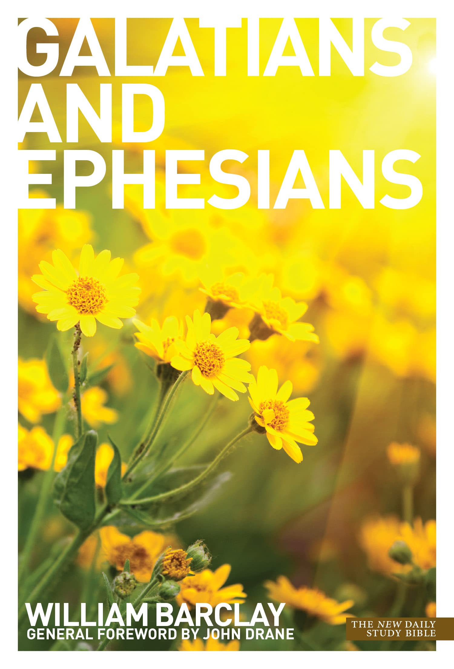 The Letters to the Galatians & Ephesians book