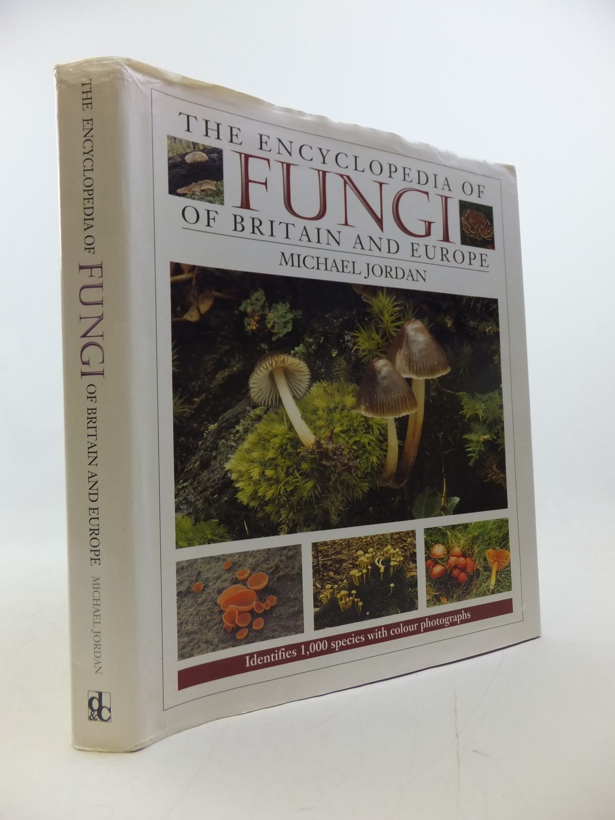 The Encyclopedia of Fungi of Britain and Europe: Indentifies 1,000 Species With Color Photographs Mathematics