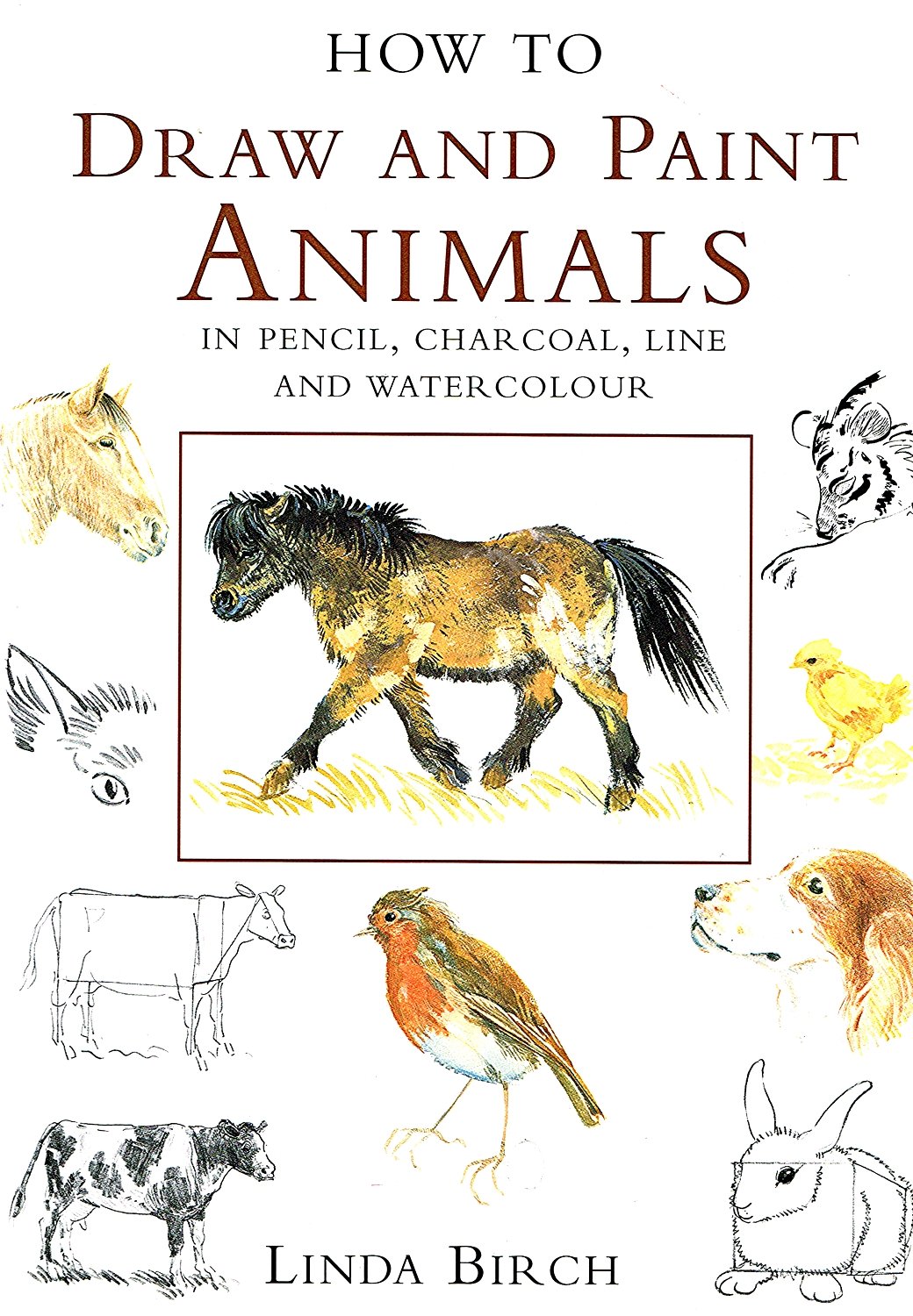 How to Draw and Paint Animals in Pencil, Charcoal, Line and Watercolour book
