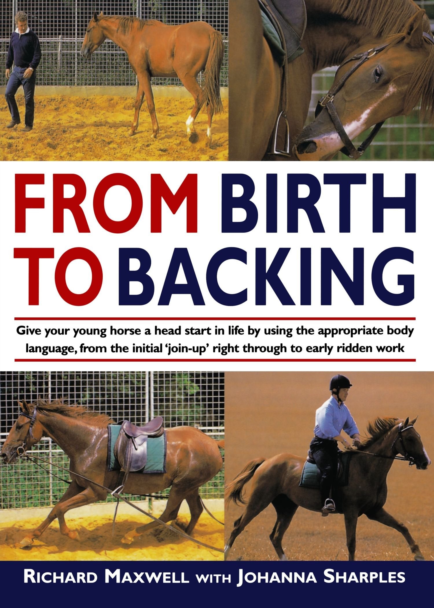 From Birth to Backing: The Complete Handling of the Young Horse book