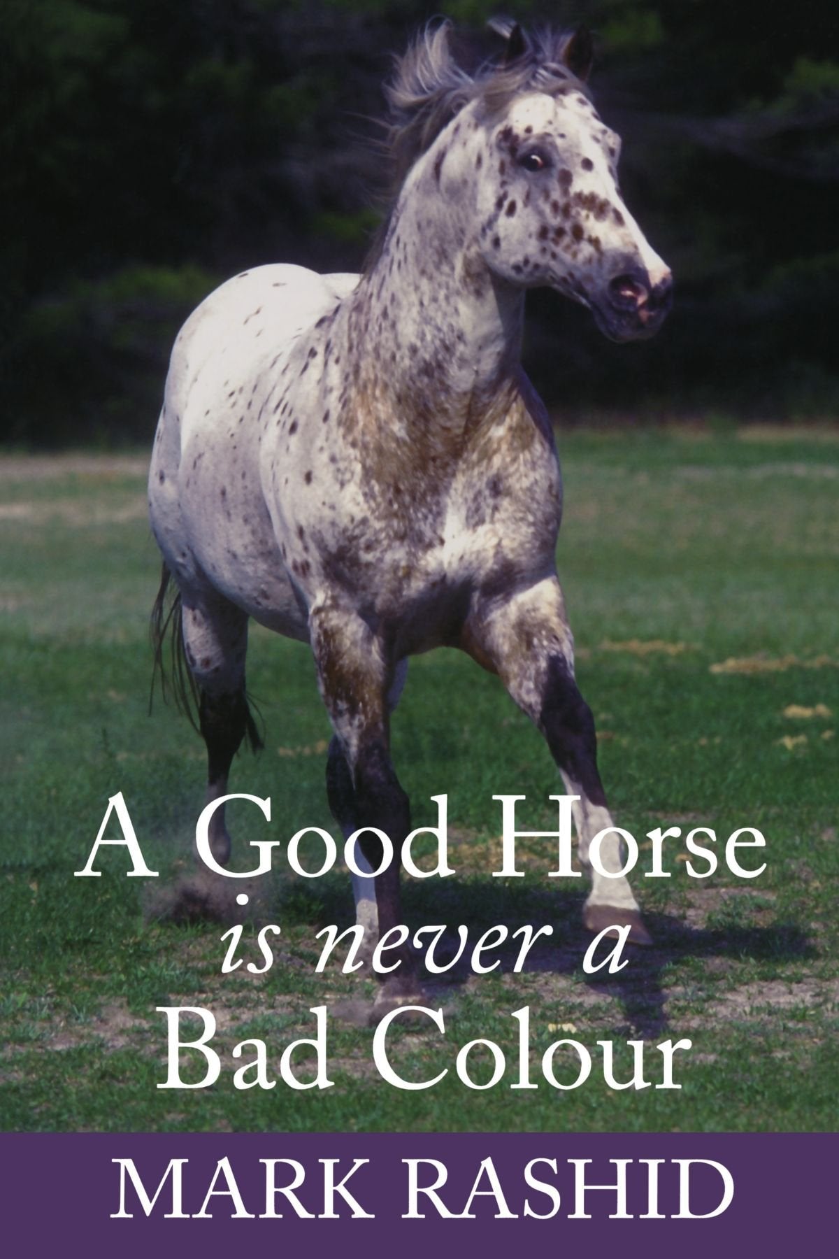 A Good Horse is Never a Bad Colour Pets