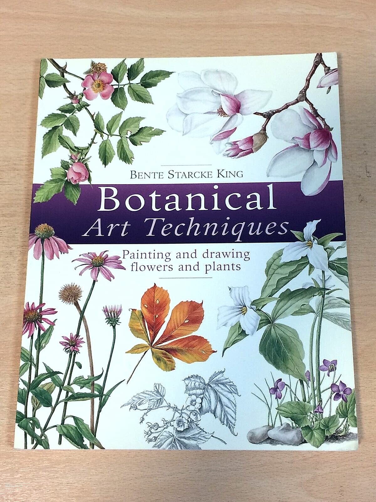 Botanical Art Techniques: Painting and Drawing Flowers and Plants Social Sciences