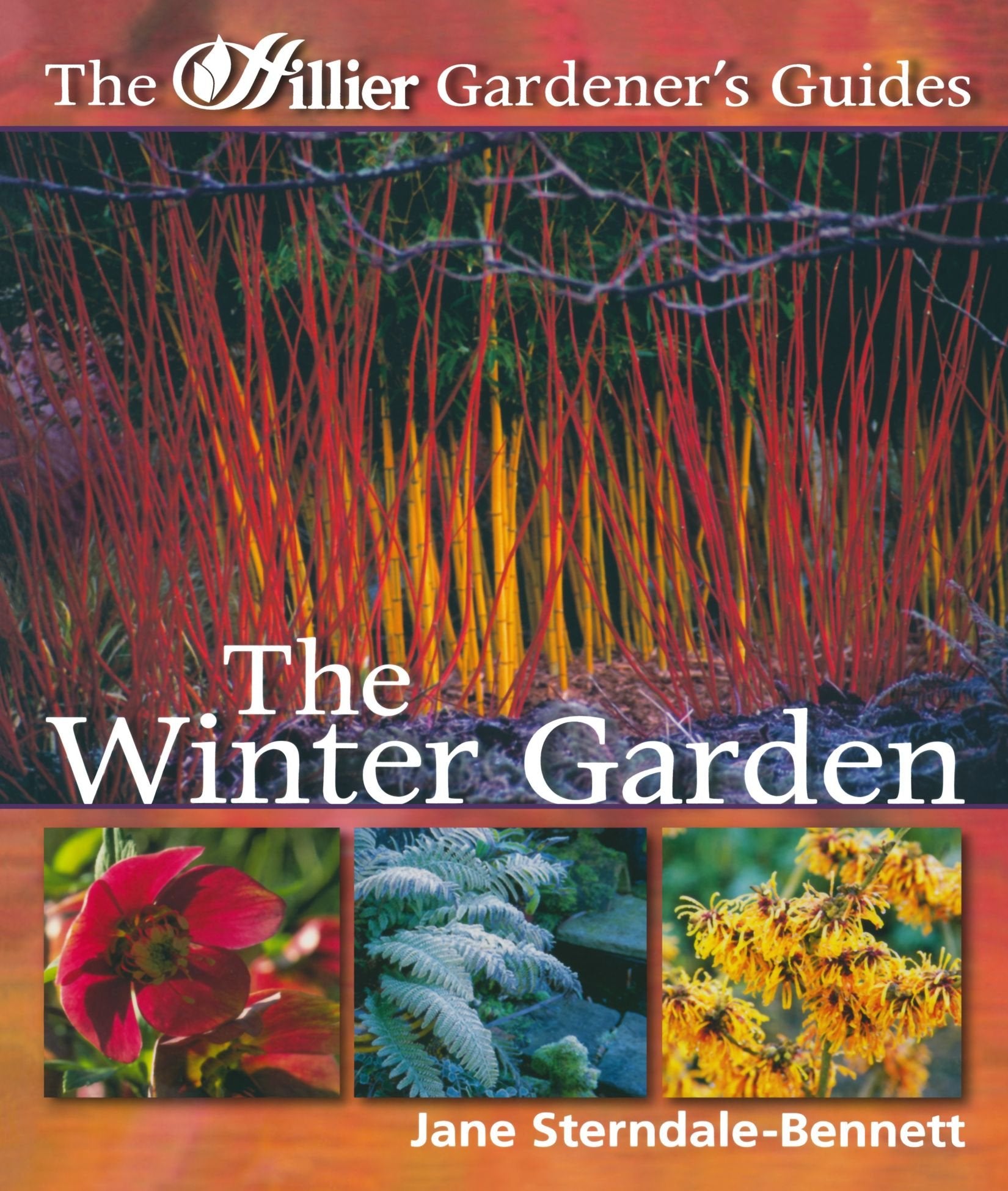 The Winter Garden (Hillier Gardener's Guide) Garden & Plants