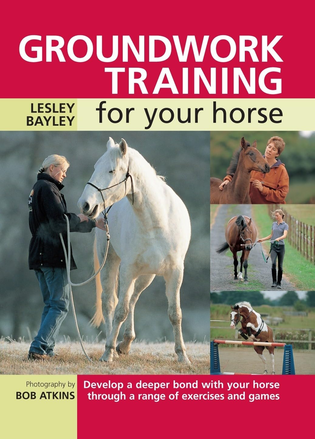 Groundwork Training for your Horse: Develop A Deeper Bond With Your Horse Through A Range Of Exercises And Games book