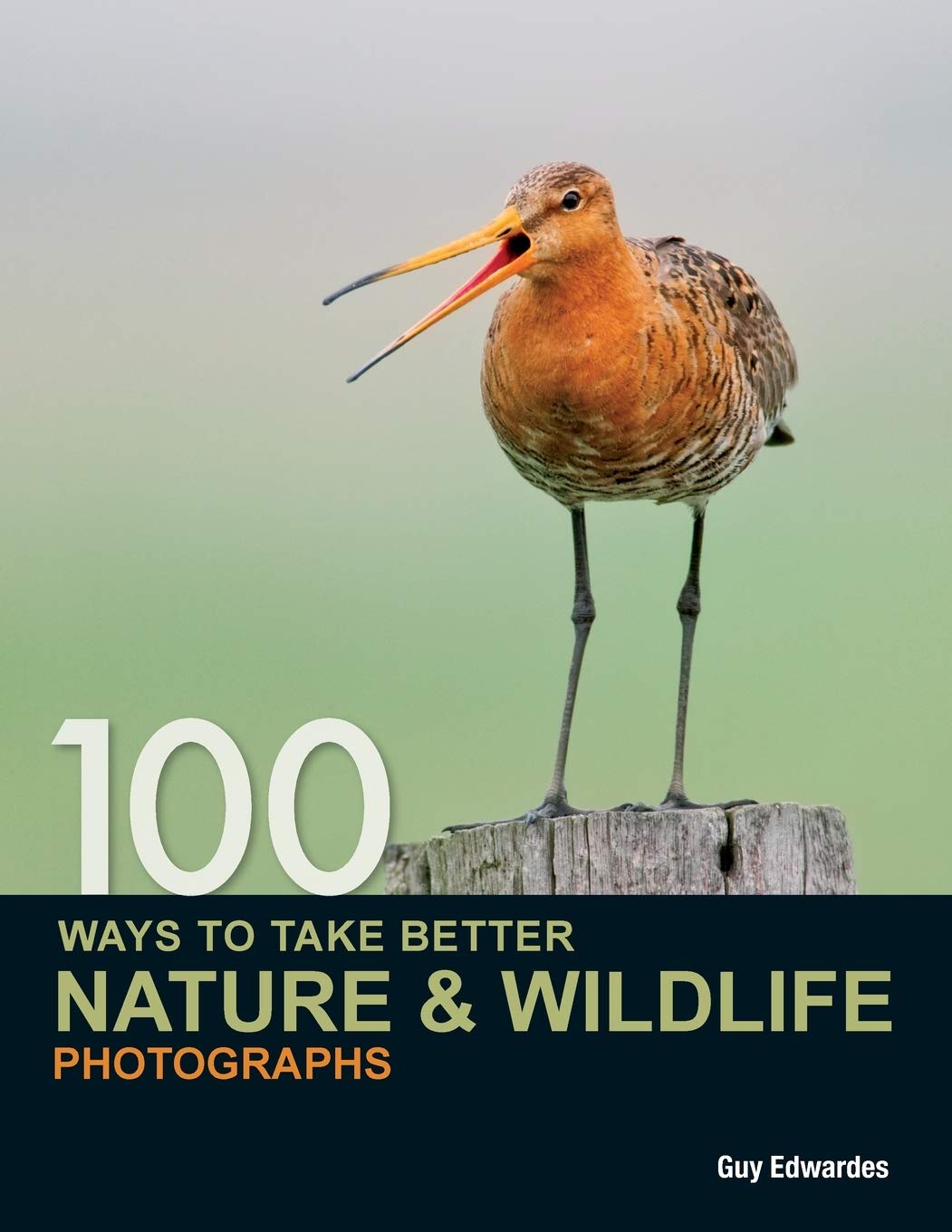 100 Ways to take better Nature & Wildlife Photographs Photography