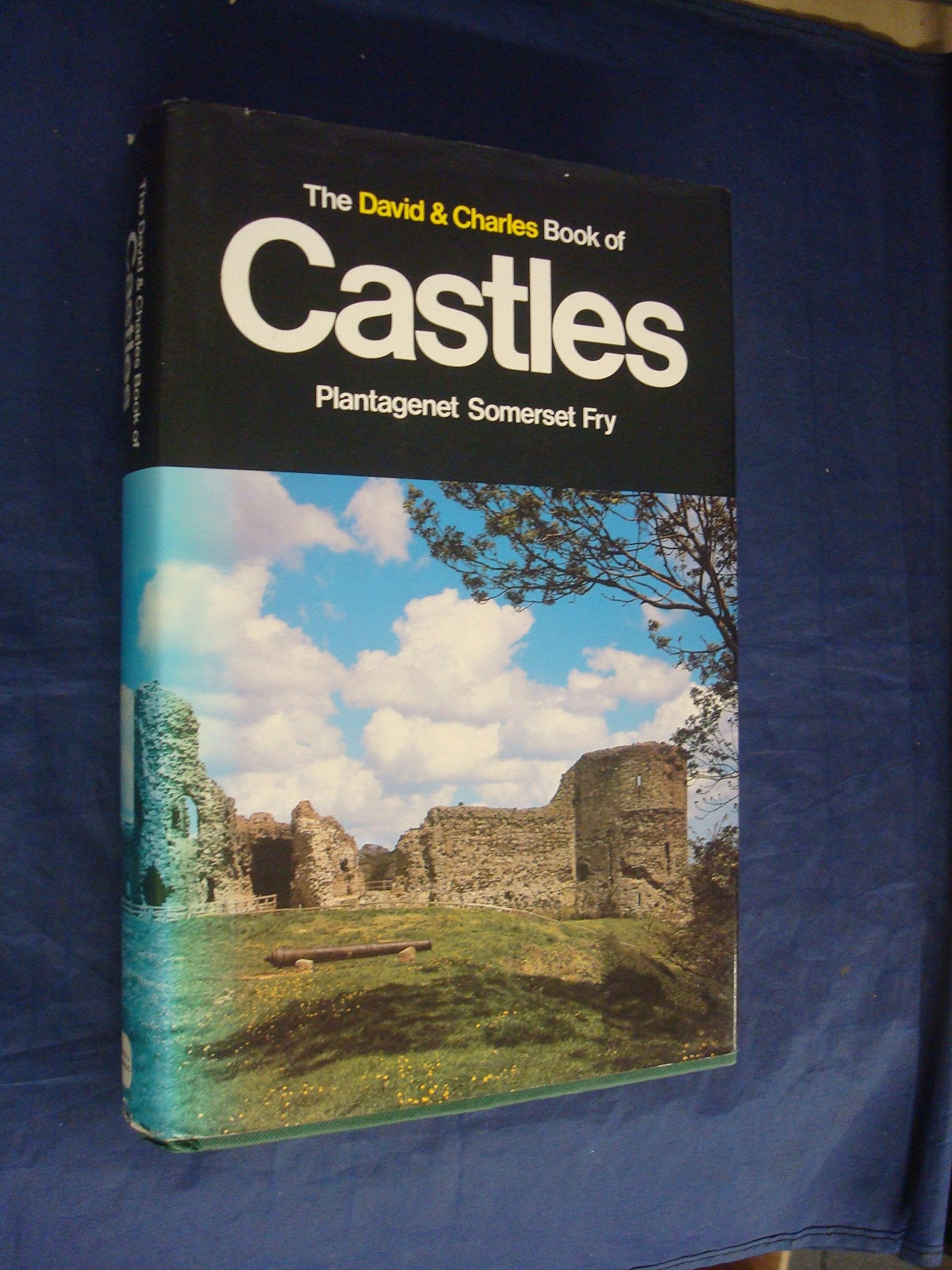 David and Charles Book of Castles Architecture