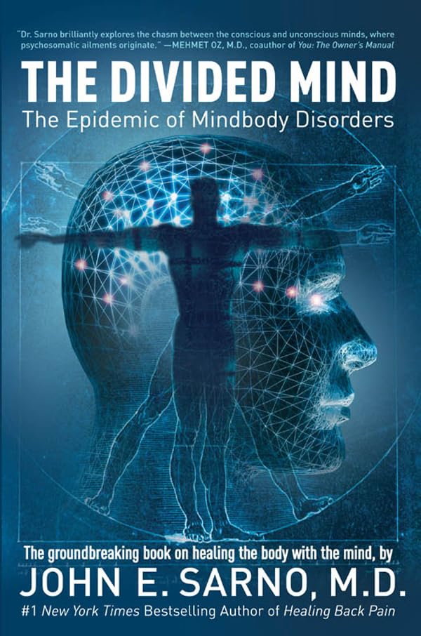The Divided Mind: The Epidemic of Mindbody Disorders book