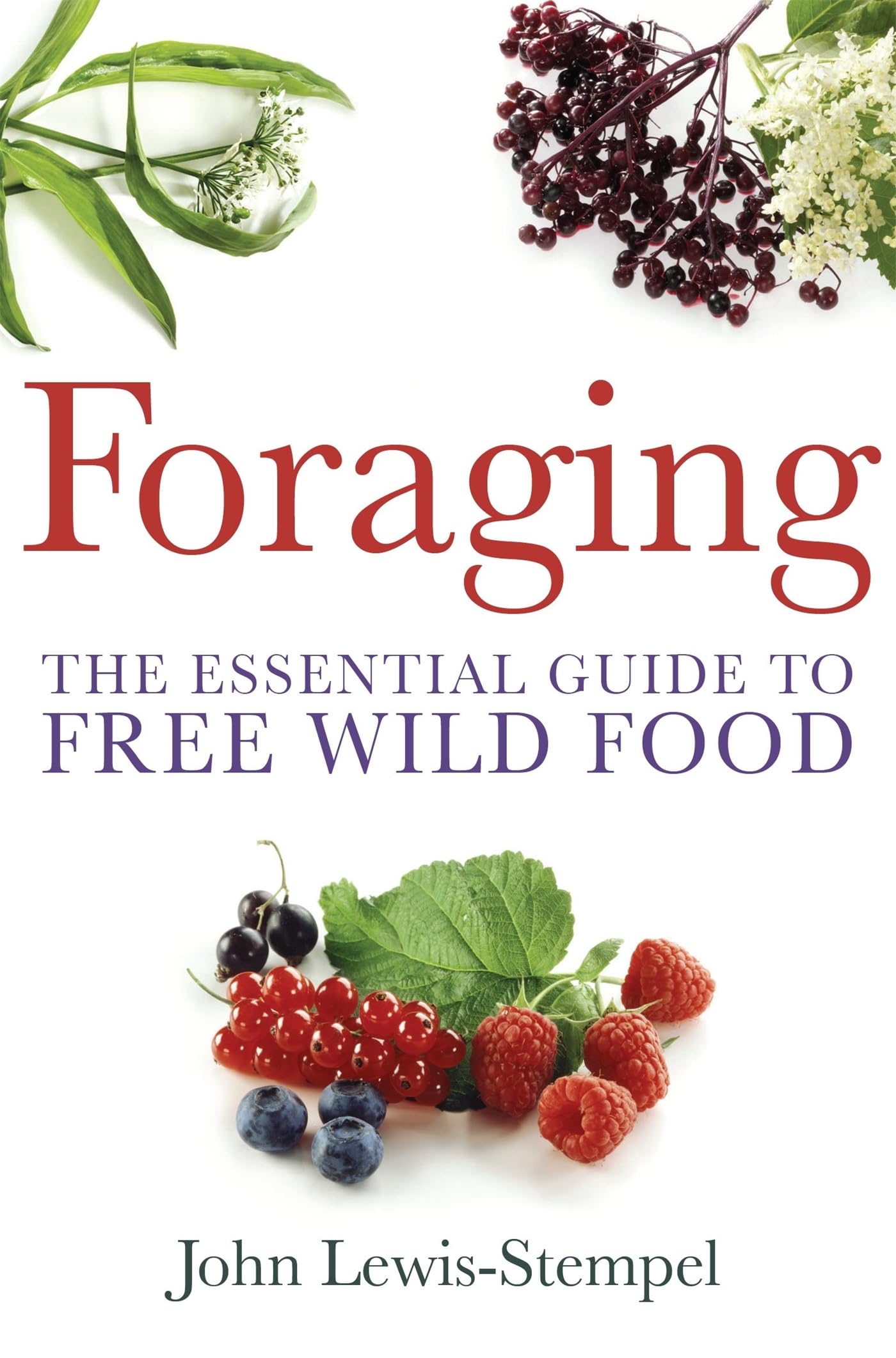Foraging: A practical guide to finding and preparing free wild food book