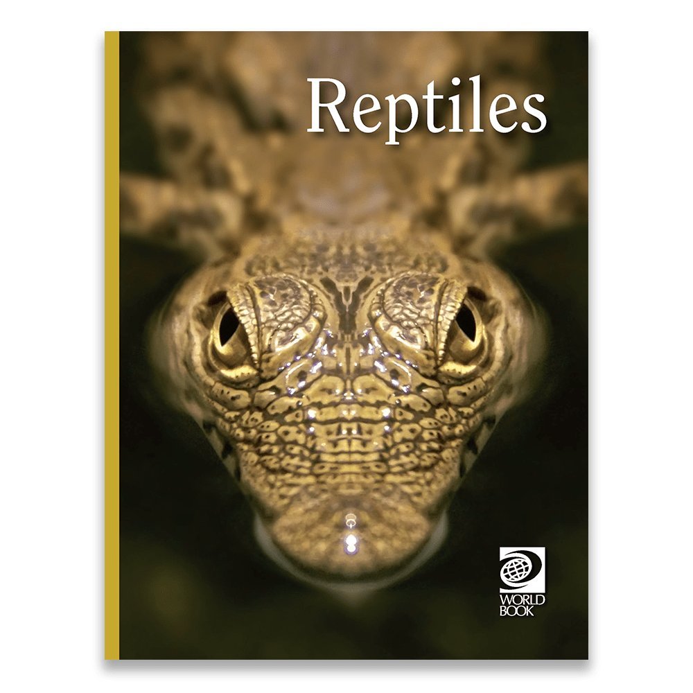 Reptiles Books